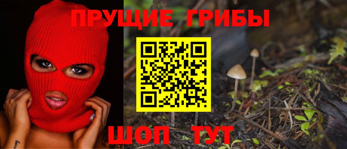 Крымск  Псилоцибиновые грибы мицелий  Вход с VPN  Галлюциногенные грибы Cubensis 